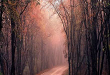 乐竟娱乐平台 -关于纽约尼克斯发布备战花絮，今晚刷新队史纪录，社区盾任务艰巨，赛程密集仍需轮换的信息